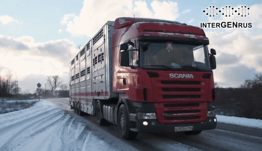 Наш проморолик