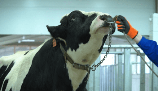 Коротко о нас